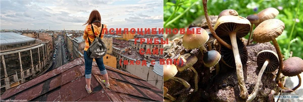 ALPHA-PVP Новокубанск