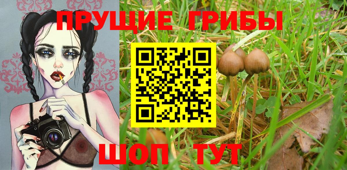 ГАШИШ Краснодар