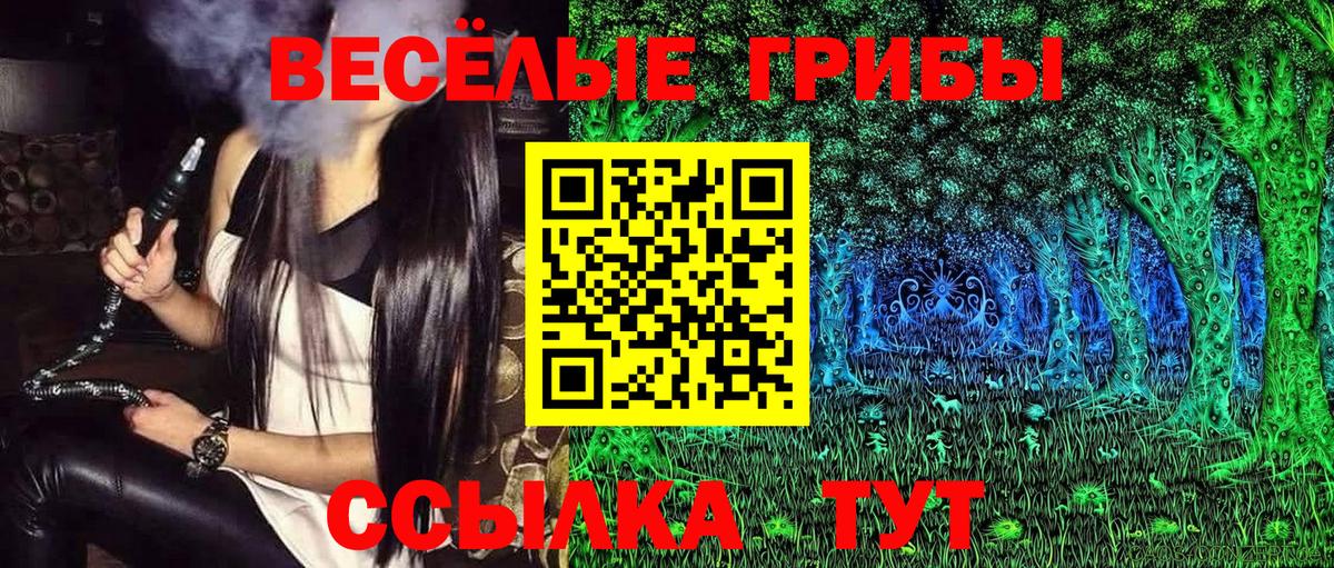 Галлюциногенные грибы прущие грибы Краснодар