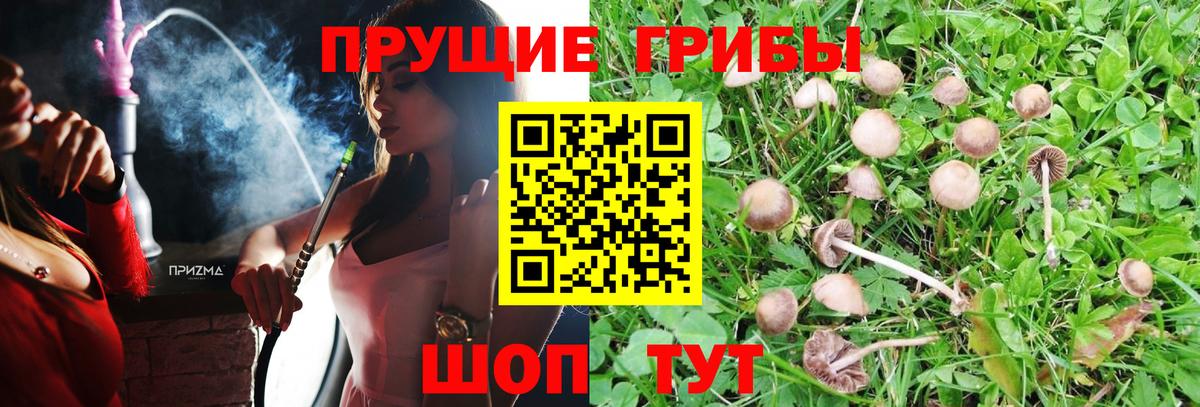 Псилоцибиновые грибы ЛСД  Вход с VPN  Краснодар 